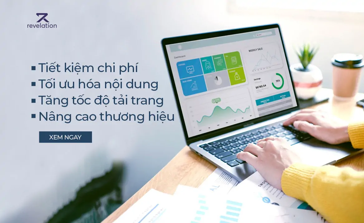 Dịch vụ chăm sóc website